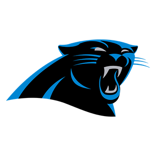 Carolina Panthers logo